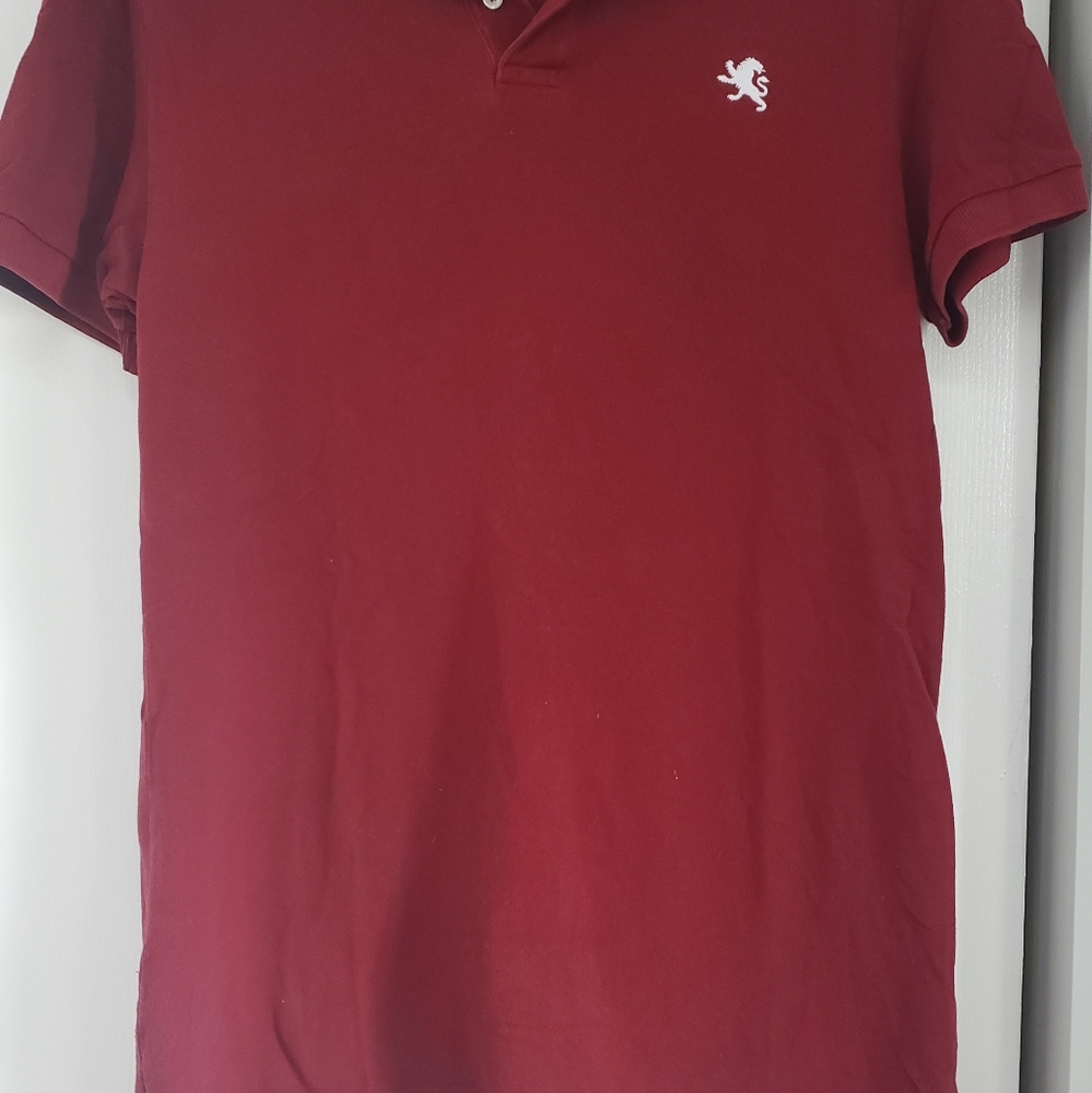 Mens Express Polo